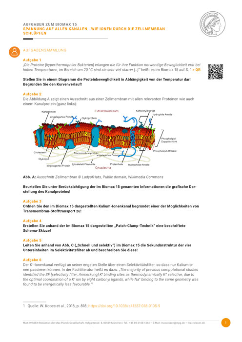 Aufgabensammlung Ionenkanal