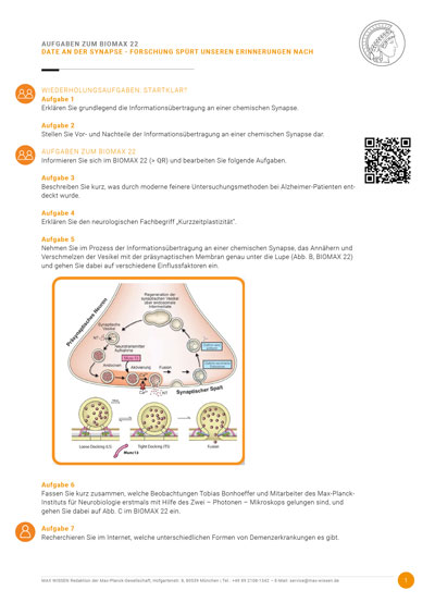 Aufgabensammlung Synapse