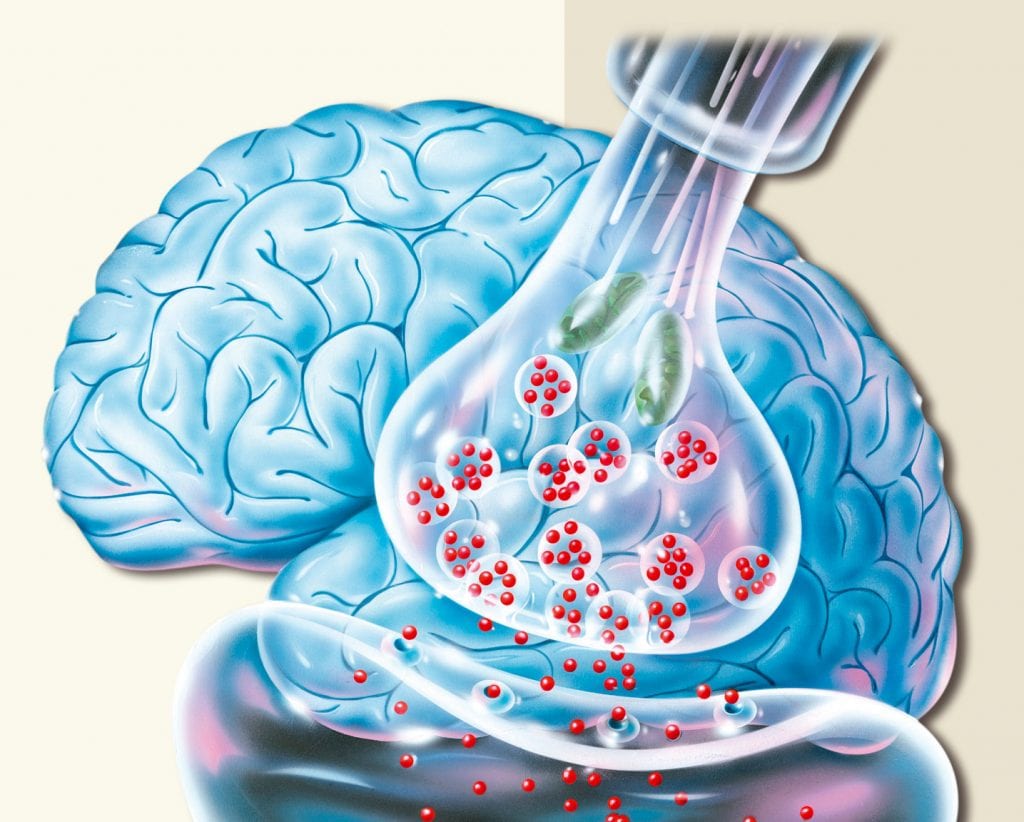 Nervensynapse; Illustration