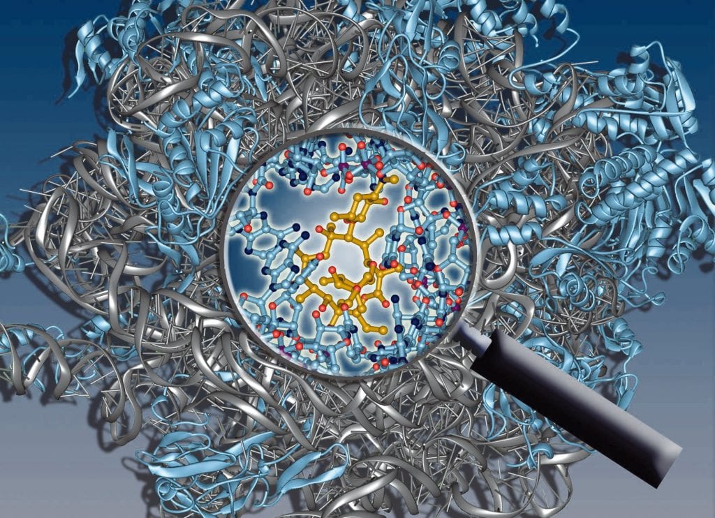 Blick mit der Lupe in den durch ein Antibiotikum versperrten, ribosomalen Tunnel, Illustration
