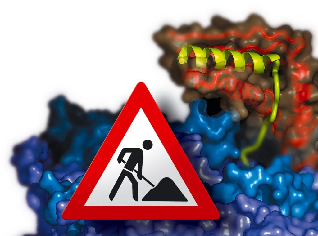 Proteinbiosynthese, Illustration mit Baustellen-Schild