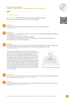 Aufgabensammlung Immunsystem