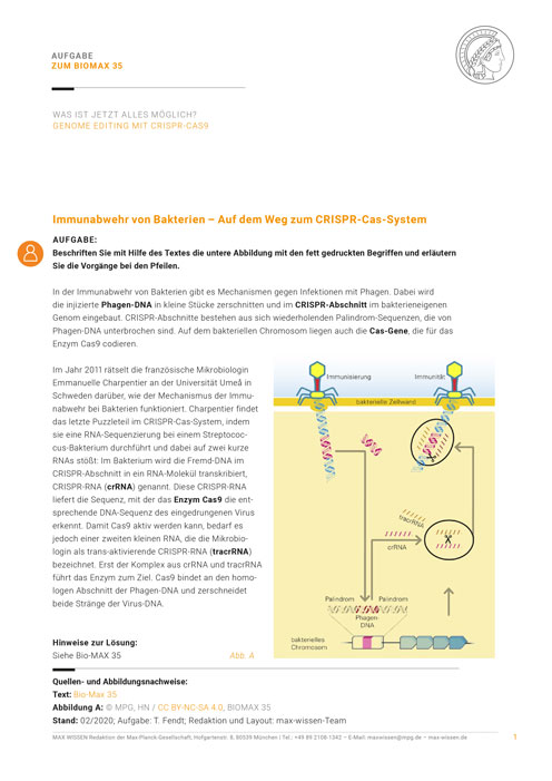 Aufgabe: Immunabwehr Bakterien (CRISPR-Cas-System)