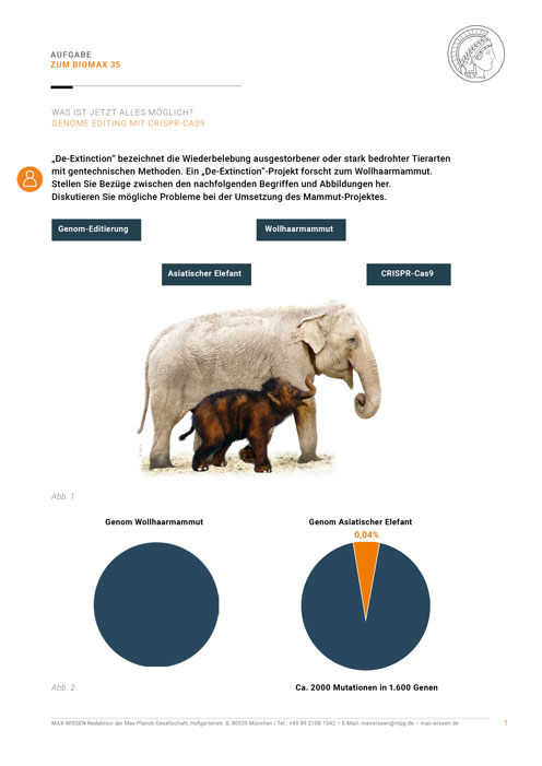 Aufgabe: Mammut-Wiederbelebung