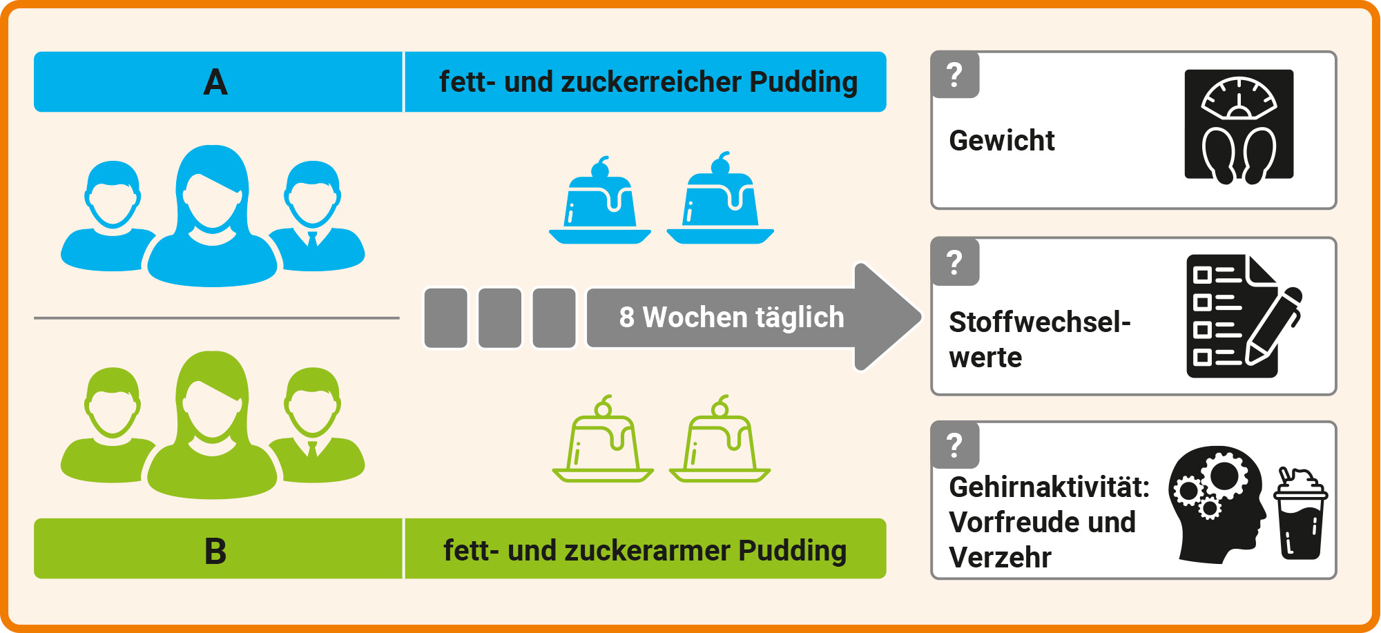 Die Abbildung zeigt schematisch den Ablauf des Experiments.