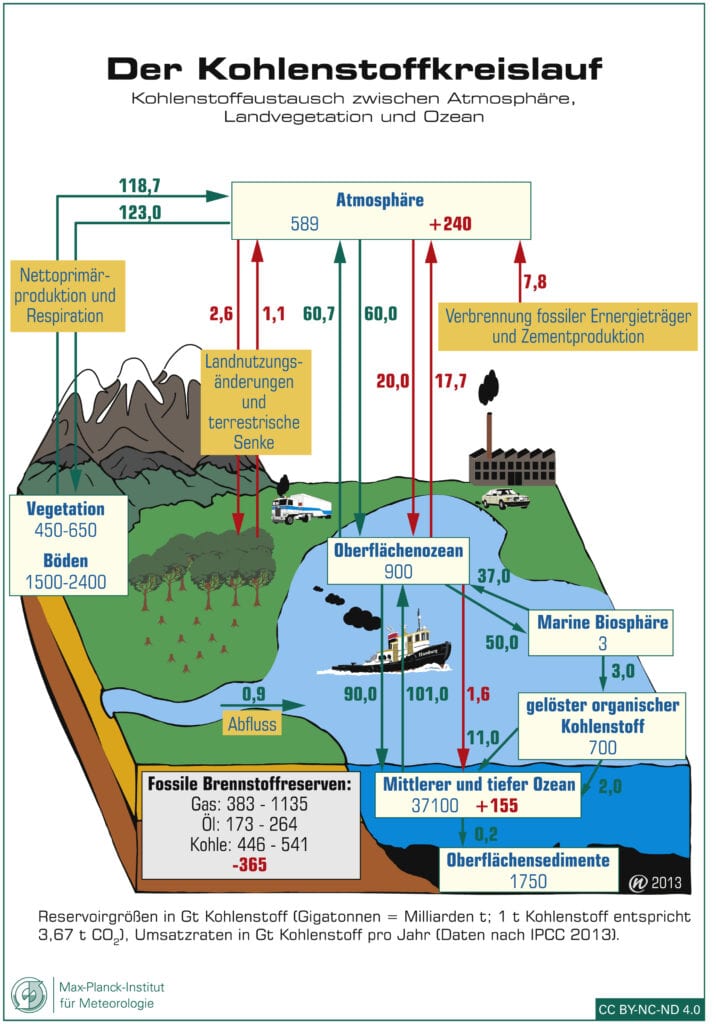 Grafische Darstellung des Kohlenstoffkreislaufs zwischen Atmosphäre, Landvegetation und Ozean
