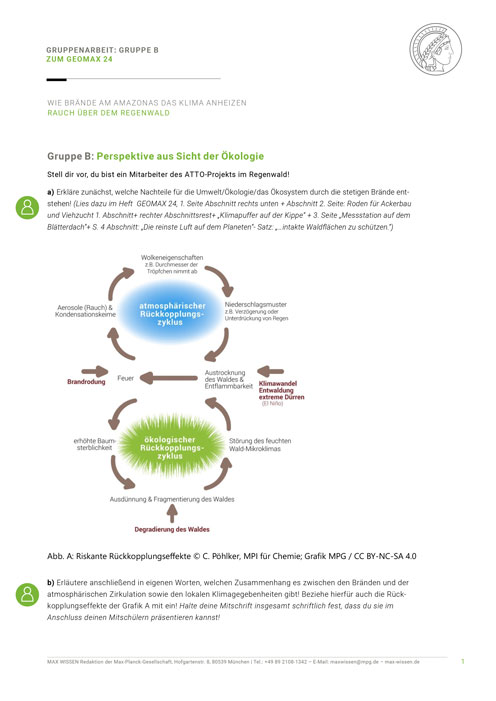 Gruppenarbeit B: Ökologische Perspektive (Brände im Regenwald)