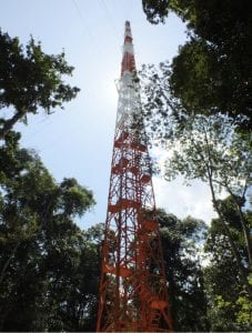 Das Amazon Tall Tower Observatory (ATTO)