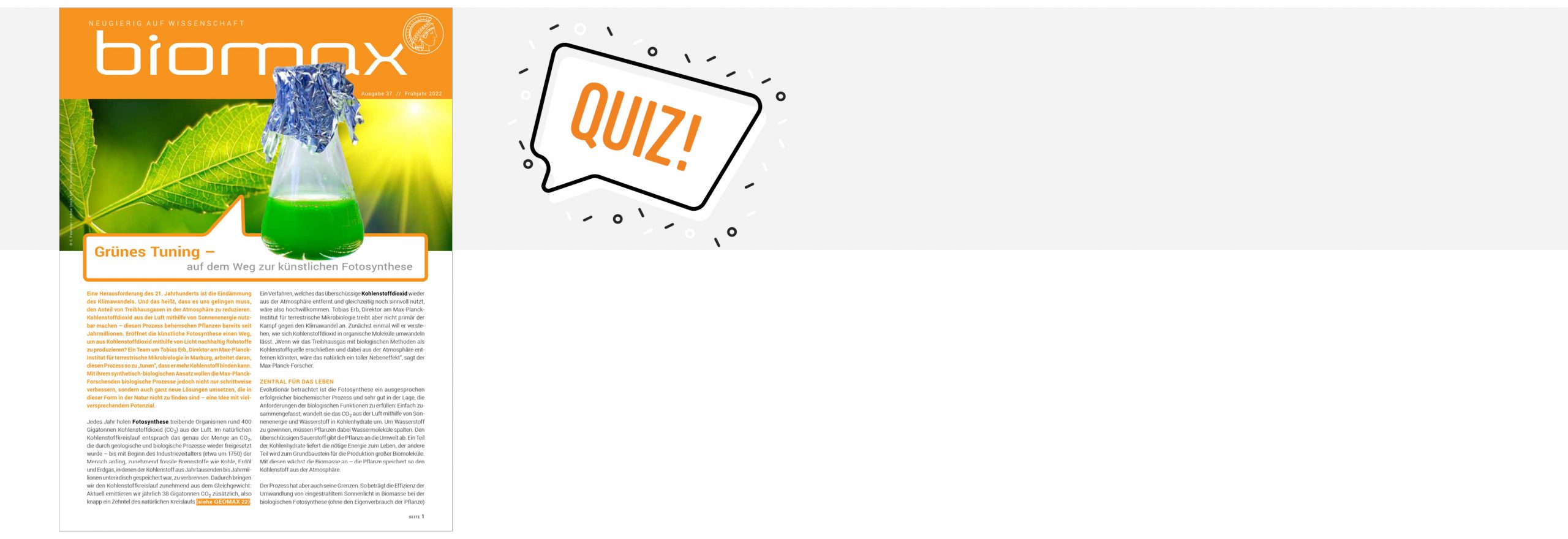 Zum Quiz BIOLOGIE