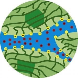 Mikrostruktur einer Nafion-Membran, Grafik
