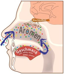 Geschmackssinne des Menschen, Grafik