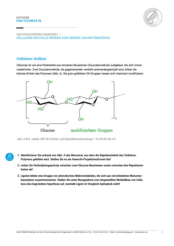 Aufgabe: Aufbau Cellulose