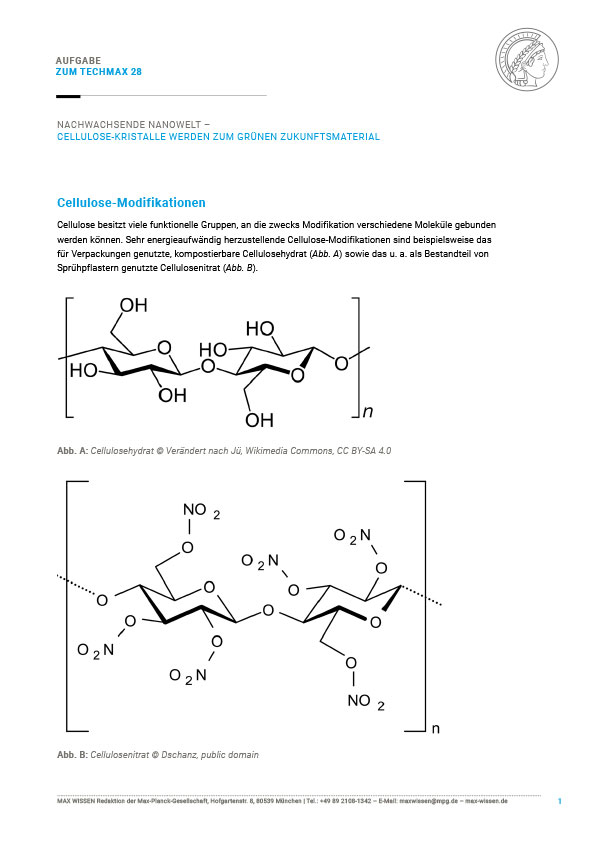 Aufgabe: Cellulose-Modifikationen, Bewertung