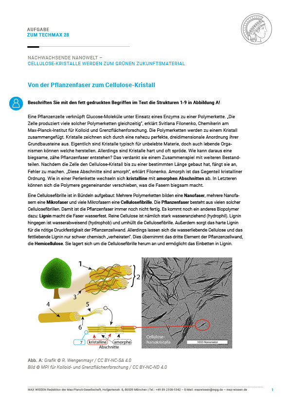 Aufgabe: Von der Pflanzenfaser bis zum Cellulose-Kristall