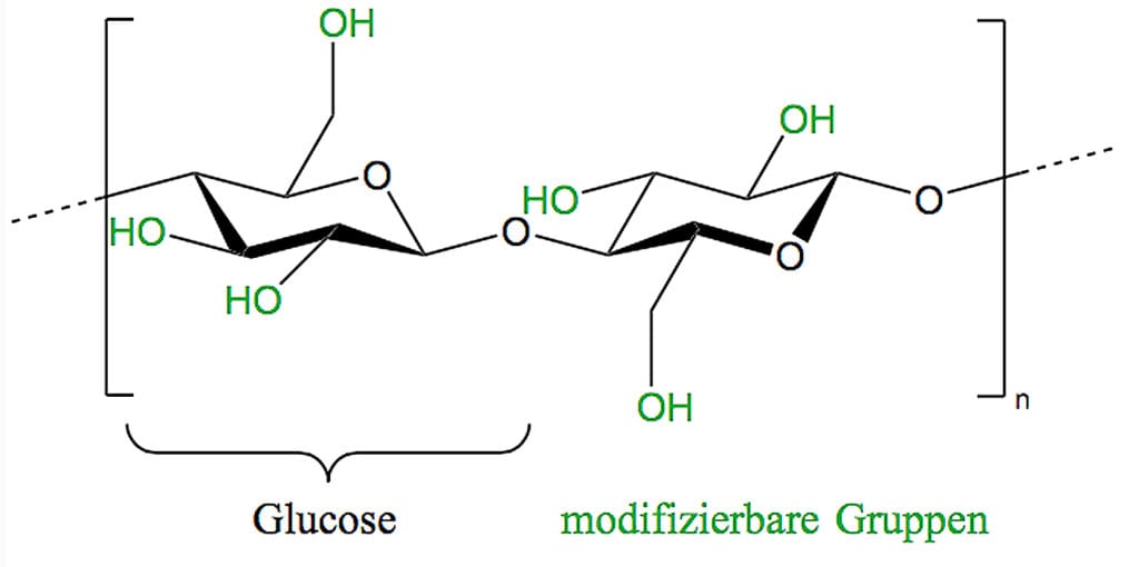 Die Pflanzenzelle verknüpft die Glucose-Moleküle unter Einsatz eines Enzyms zu einer Polymerkette, Grafik