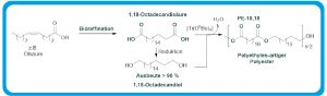 Die Abbildung zeigt die Reaktionsschritte für die Herstellung von Polyester-18,18. Durch Bioraffination von Pflanzenölen entsteht 1,18-Octadecandicarbonsäure, die teilweise zu 1,18-Octadecandiol reduziert wird. Die Alkohol- und Säureendgruppen der Monomere reagieren unter Veresterung miteinander. Da jedes Molekül zwei Endgruppen besitzt, wiederholt sich die Veresterung vielfach. Diese Polykondensation führt unter Abspaltung von Wasser zur Bildung des Polyesters-18,18.