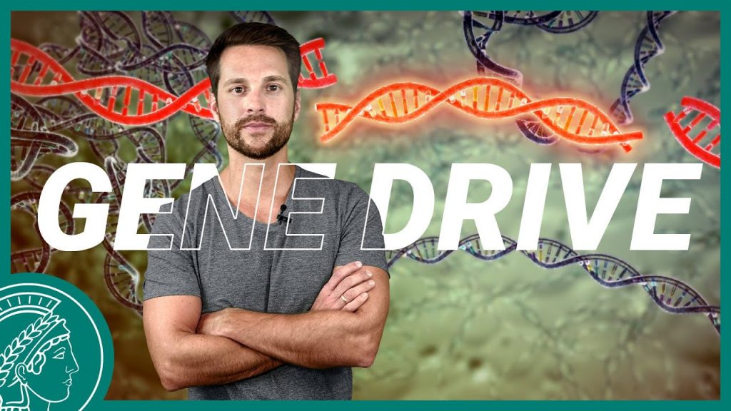 Gene Drive – ein Turbo für Gene | Wissen Was
