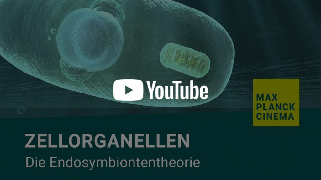 Zellorganellen - Die Endosymbiontentheorie | Max-Planck-Cinema