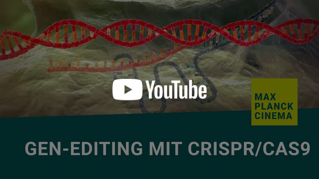Gen-editing mit CRISPR/Cas9 | Max-Planck-Cinema