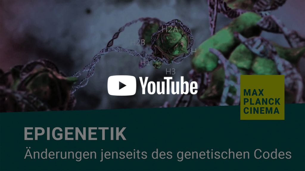 Epigenetik - Änderungen jenseits des genetischen Codes | Max-Planck-Cinema