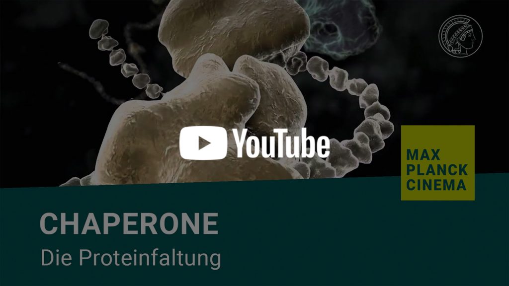 Chaperone - die Proteinfaltung | Max-Planck-Cinema