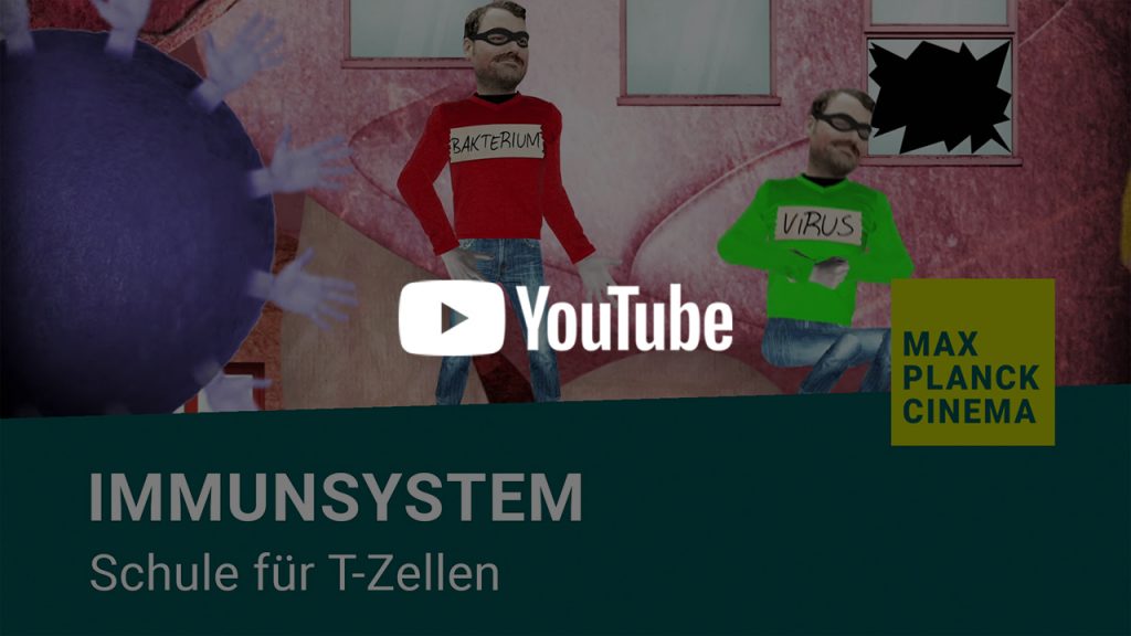 Immunsystem - Schule für T-Zellen | Max-Planck-Cinema