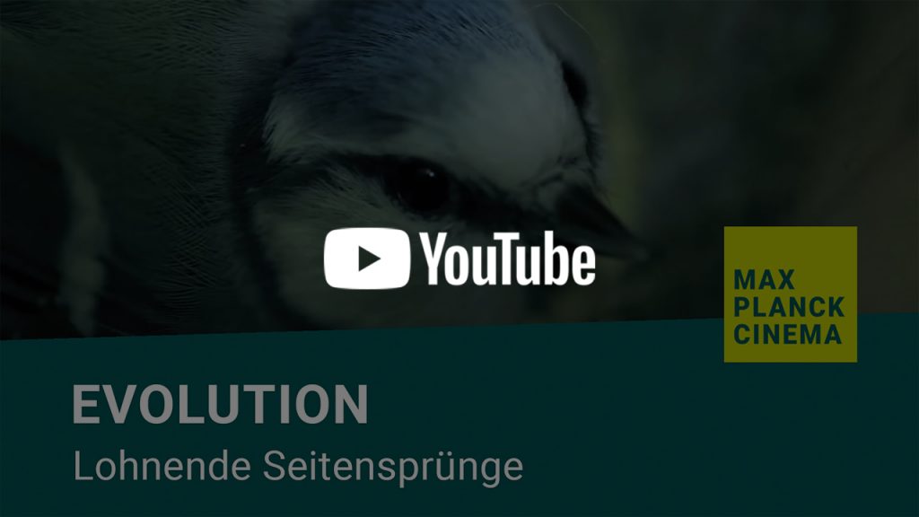 Evolution - lohnende Seitensprünge | Max-Planck-Cinema