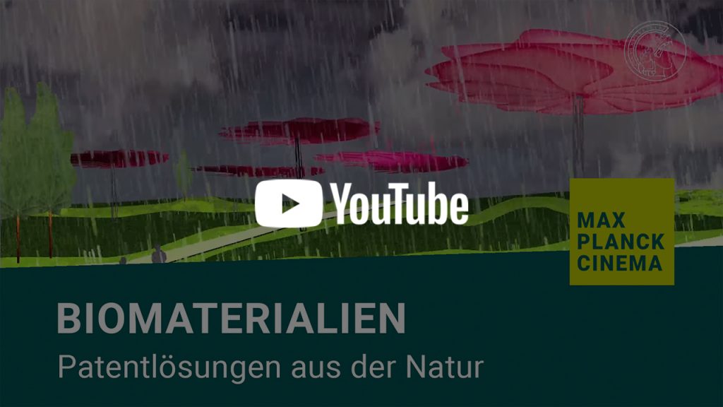 Biomaterialien - Patentlösungen aus der Natur | Max-Planck-Cinema