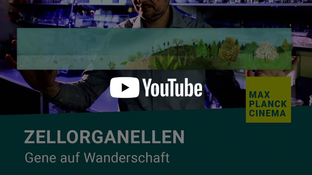 Zellorganellen - Gene auf Wanderschaft | Max-Planck-Cinema