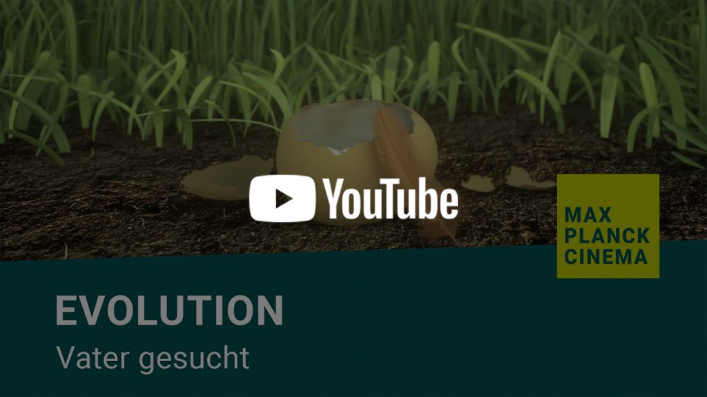Evolution - Vater gesucht | Max-Planck-Cinema