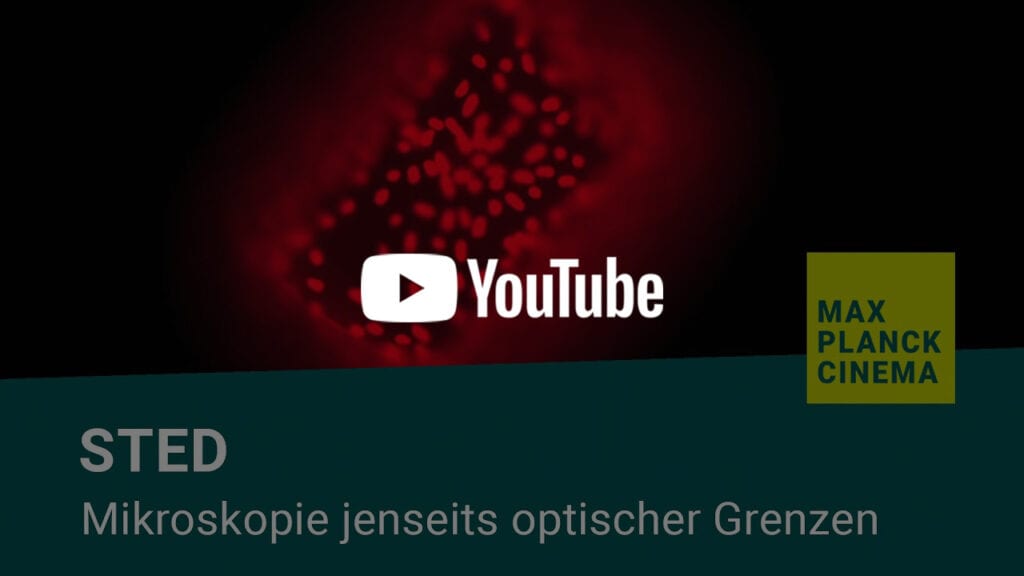 STED - Mikroskopie jenseits optischer Grenzen | Max-Planck-Cinema