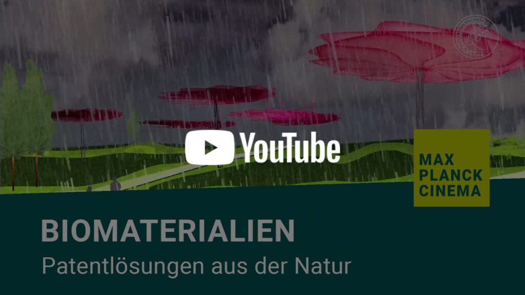 Biomaterialien - Patentlösungen aus der Natur | Max-Planck-Cinema