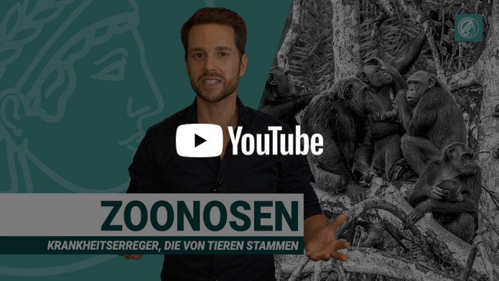 Wildtiermärkte: Brutstätten für Coronaviren | Zoonosen und Artensterben | Wissen Was