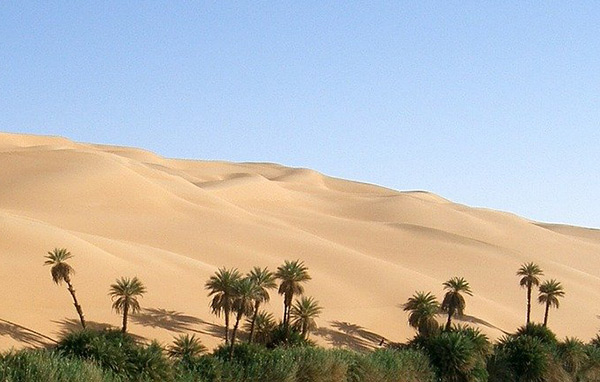 Grüne Sahara | Podcast
